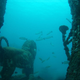 Illustration for article titled Underwater cemetery looks like the ruins of the lost city of Atlantis